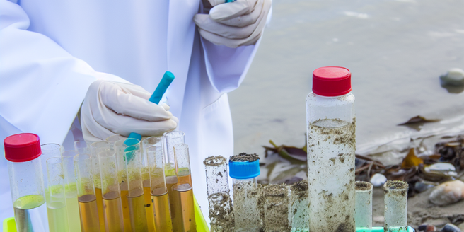 A collection of samples from a polluted water body by a female scientist